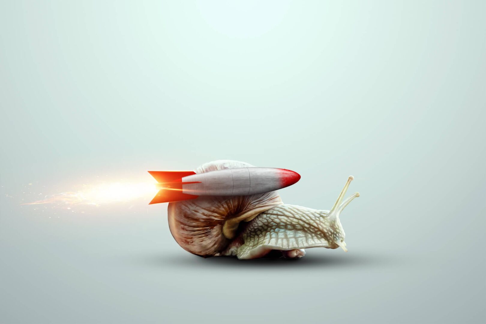 Website speed letting you down? Tips to fix it.